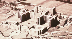 Queen Elizabeth Hospital aerial photograph